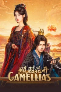 Camellias (2026) บัลลังก์บุปผาสีเลือด EP.1-24