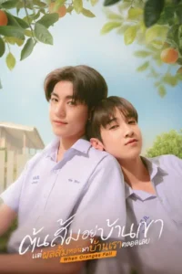 When Oranges Fall (2026) ต้นส้มอยู่บ้านเขา แต่ผลส้มหล่นมาบ้านเราตลอดเลย EP.1-12